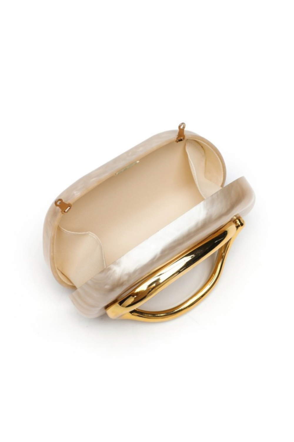 Diane acrylic clutch bag