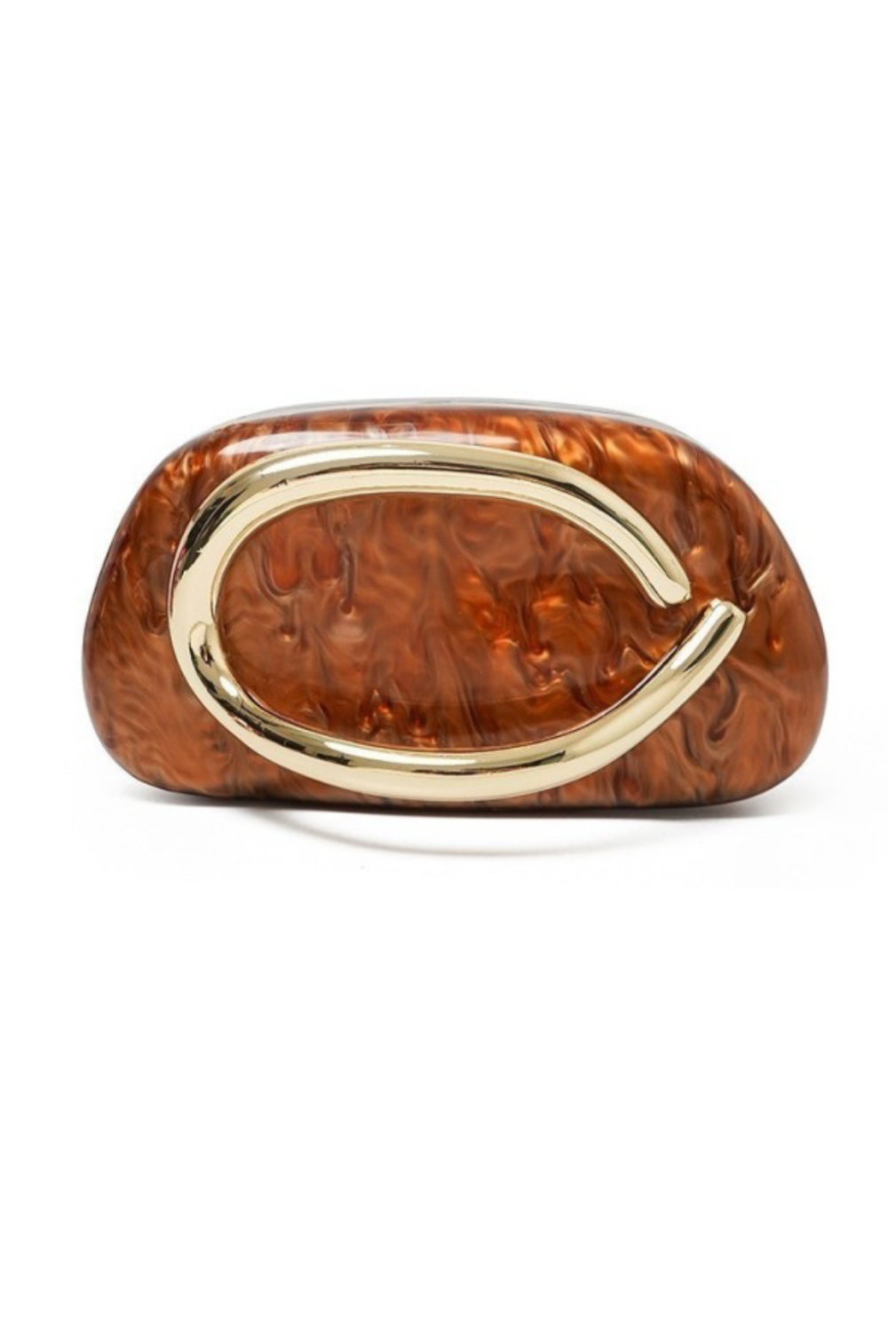 Diane acrylic clutch bag
