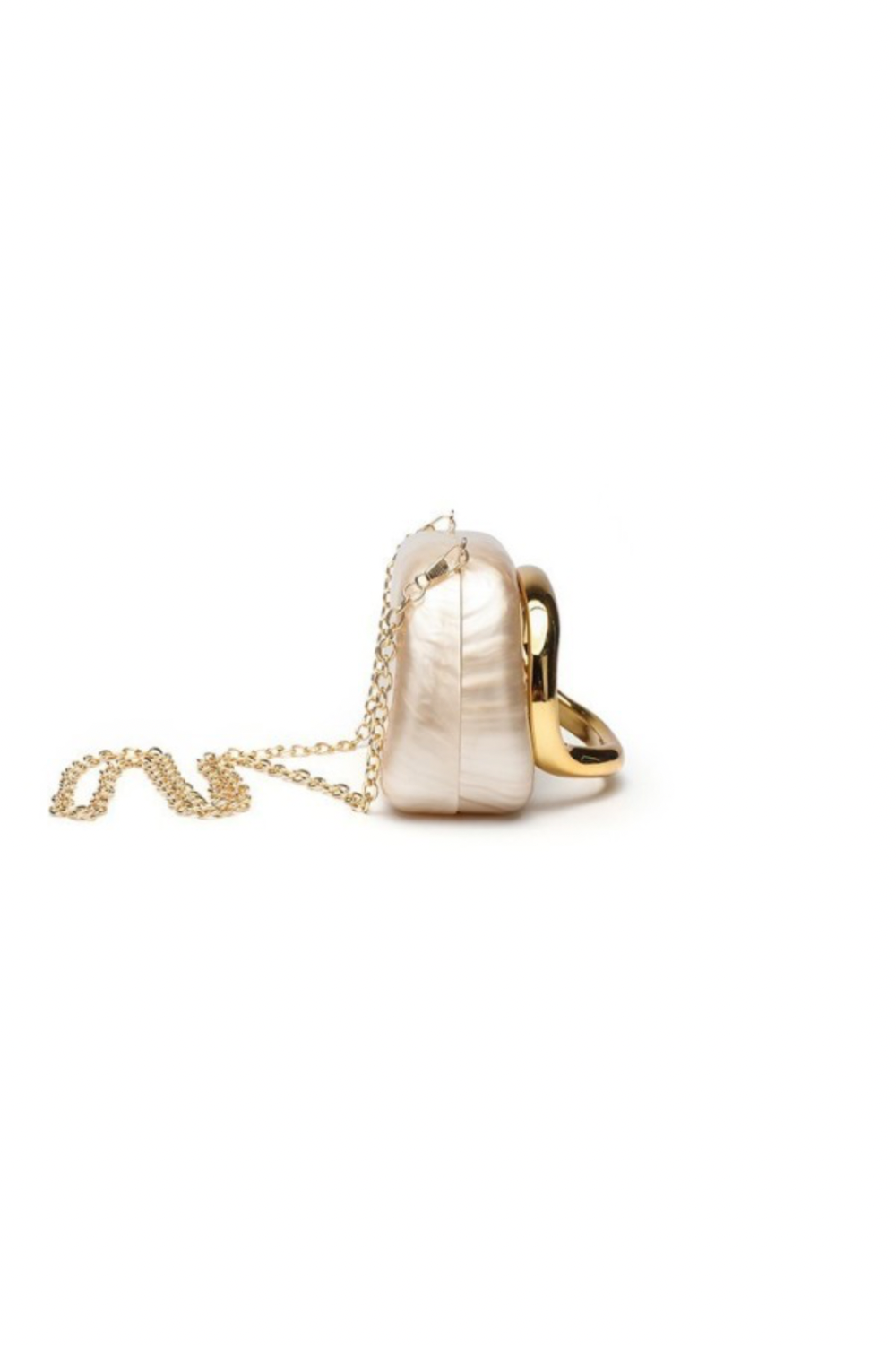 Diane acrylic clutch bag